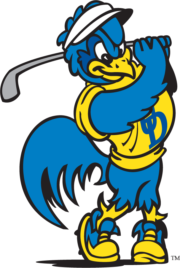 Delaware Blue Hens 1999-2009 Mascot Logo v7 DIY iron on transfer (heat transfer)